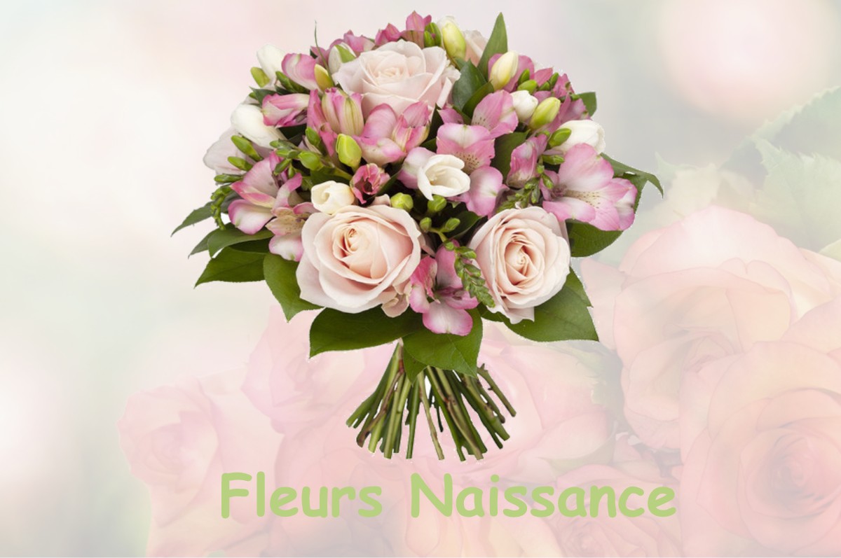 fleurs naissance TILLAY-LE-PENEUX