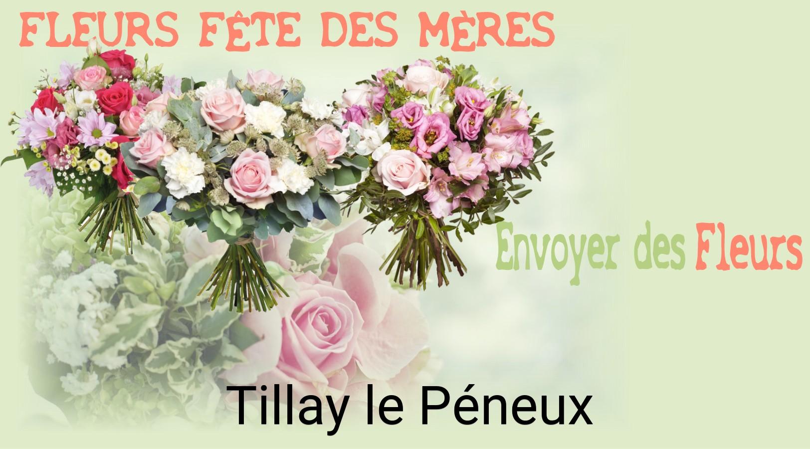 Bouquet de Fête des Mères livré à Tillay-le-Péneux